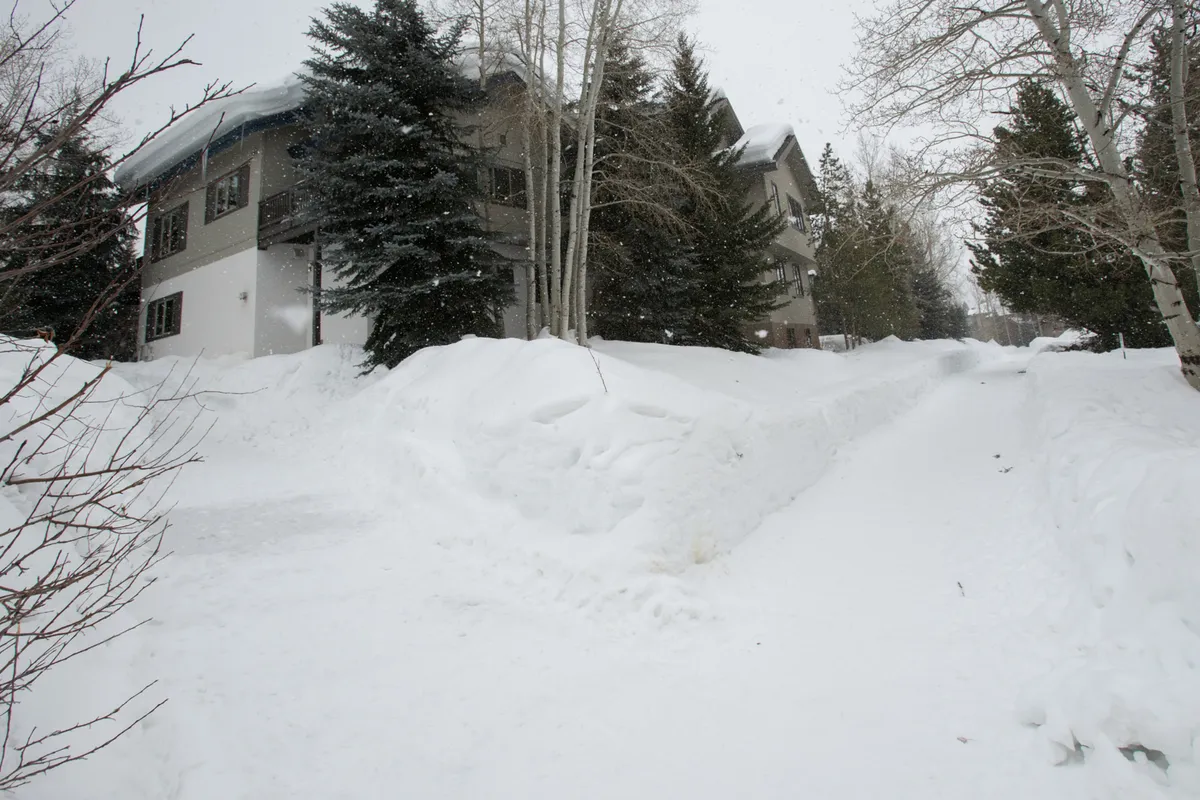 This image depicts a tranquil, snow-covered pathway leading to the house, framed by tall trees and the welcoming facade of the property. The pathway evokes a sense of adventure and ease of access to the outdoors, mirroring the convenience of being steps from the Steamboat Resort.